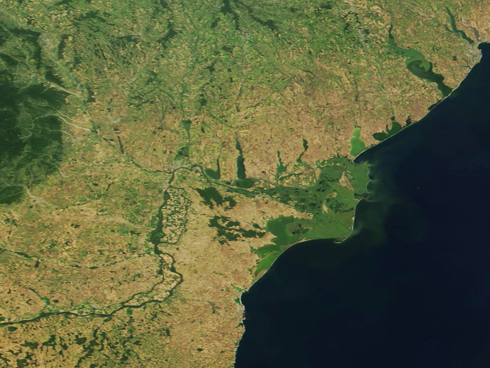 Danube delta channels reeds