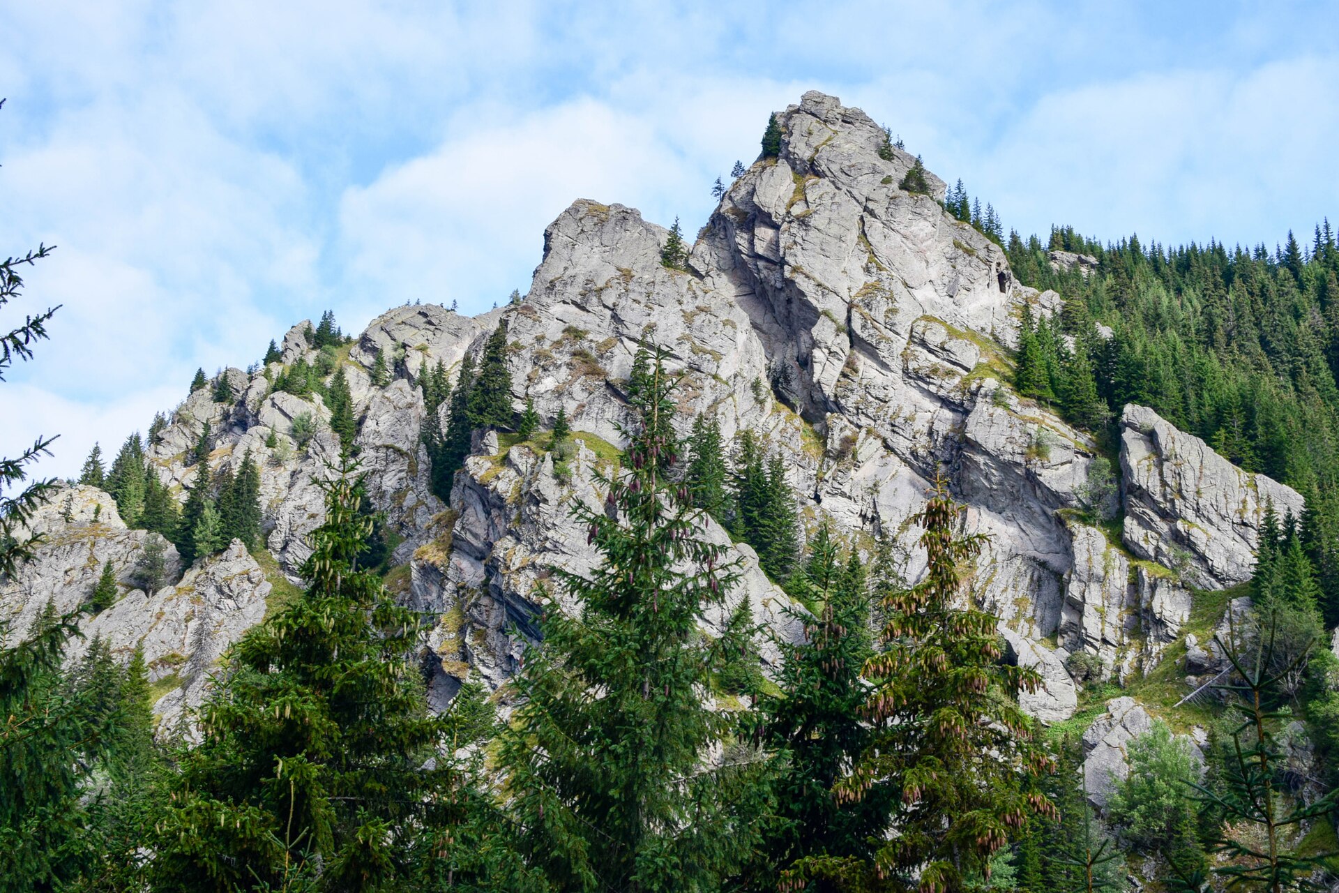 Carpathian mountains hiking Romania